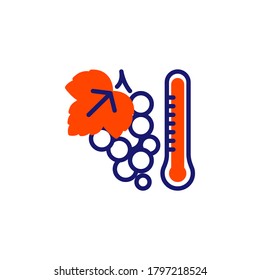 Bunch of Grapes and thermometer line icon. linear style sign for mobile concept and web design. Wine production outline vector icon. Symbol, logo illustration. Vector graphics