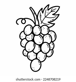 Montón de uvas. Ilustración del doodle vectorial. Bayas frescas. Alimentos saludables. Esbozo a mano.