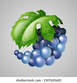Bunch of grapes. Vector drawing illustration.