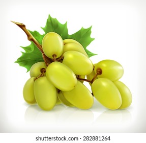 Bunch of grapes, vector icon