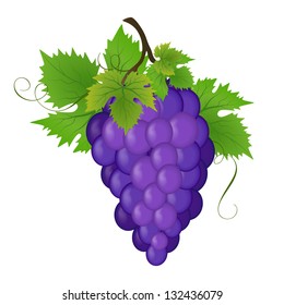 Bunch of a grapes, vector illustration