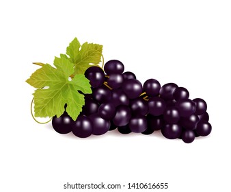 Bunch of grapes, vector illustration