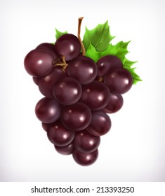 Bunch of grapes, vector illustration