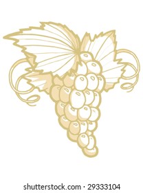 bunch of grapes vector illustration