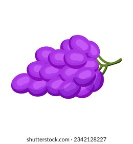 Bunch of grapes vector illustration. Cartoon drawing of purple berries isolated on white background. Nature, food, fruit, diet concept
