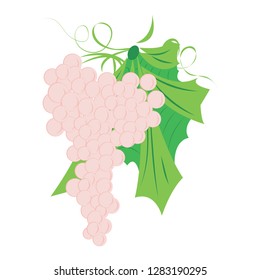 Bunch of grapes vector illustration on a white background