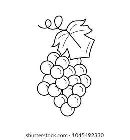 Bunch of grapes vector line icon isolated on white background. Grape line icon for infographic, website or app.