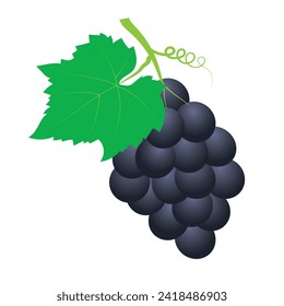 Bunch of grapes vector. Grapes logo icon. Bunch of colorful,  silhouette  grapes vector illustration. Fruit vector illustration, nature wine,