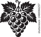  Bunch of grapes vector silhouette. Grapes icon vector illustration design.