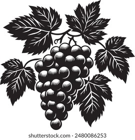  Bunch of grapes vector silhouette. Grapes icon vector illustration design.