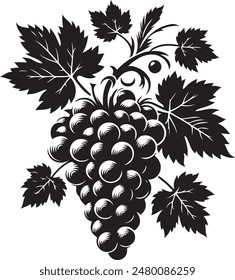  Bunch of grapes vector silhouette. Grapes icon vector illustration design.