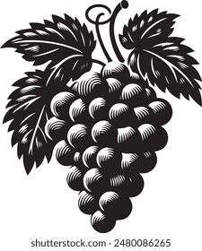  Bunch of grapes vector silhouette. Grapes icon vector illustration design.