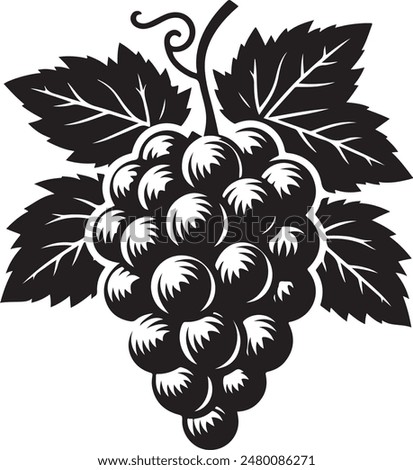  Bunch of grapes vector silhouette. Grapes icon vector illustration design.
