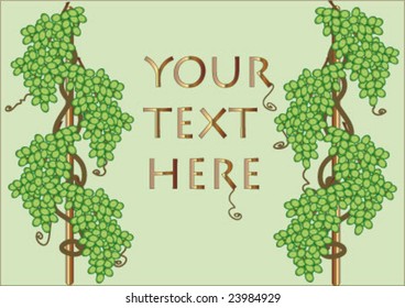 bunch of grapes vine