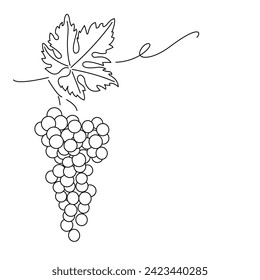 Bunch of grapes. Vine. Vector line drawing on white or transparent background. Grapevine. Cluster of grapes. 