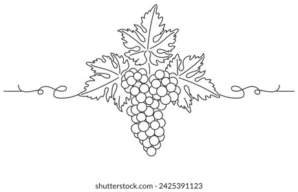 Bunch of grapes. Vine. Vector line drawing on white or transparent background. Grapevine. Seamless grape border.