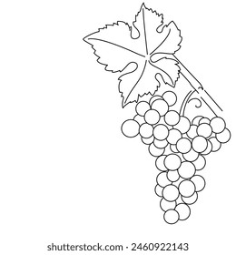 Ein Haufen Trauben. Rebe. Vektorgrafik auf weißem oder durchsichtigem Hintergrund. Weinrebe. Traubengruppe. 