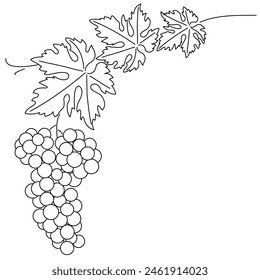 Bunch of grapes. Vine. Vector line drawing on white or transparent background. Grapevine. Cluster of grapes. 