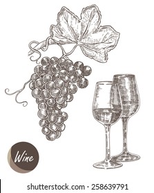 Bunch of grapes and wine glasses. Vector illustration in sketch style