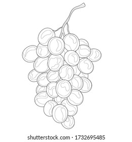 Bunch of grapes.Tasty sweets.Coloring book antistress for children and adults. Zen-tangle style.Black and white drawing