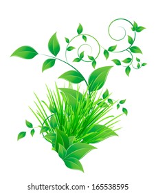 bunch grass and green leaves
