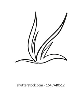 A bunch of grass, hand drawing in the style of a Doodle. Vector image isolated on white background