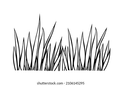 Ein Haufen Gras. Handgezeichnet, einfache, schwarze Umrissgrafik, Vektorgrafik im Doodle-Stil, einzeln auf weißem Hintergrund. Naturdesign-Element, Clipkunst für die Dekoration zum Thema Natur, Farbseite