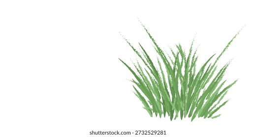 Bunch grass isolated on white and place for text.