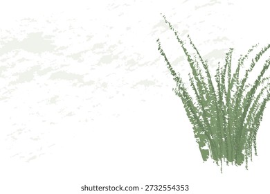 Bunch of grass isolated on white and place for text.