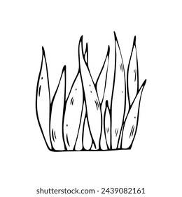 A bunch of grass. Vector illustration of black outline in doodle style. Nature design element.Hand drawn greenery.