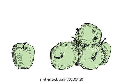 A bunch of green apples, hand-drawn.