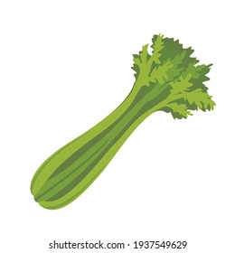 A bunch of green celery. Vector, isolated, flat illustration.