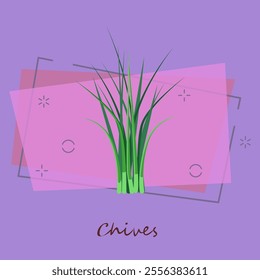 Bunch of green chives. Fresh organic food. Cooking herbs concept. Vector illustration can be used for topics like seasoning, salad ingredient, gardening, horticulture