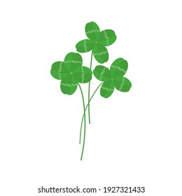 A bunch of green clover leaves. Summer plant, grass. Four sheets. Patrick's Day holiday symbol. Isolated element on a white background. For postcard decoration and design. Vector illustration.