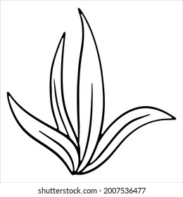 Bunch of green fresh grass. Long leaves of grass. Line style. Vector illustration for design and decoration.