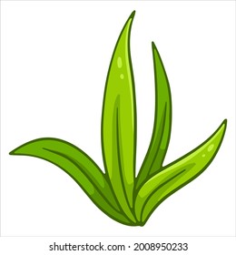 Haufen grünem, frischem Gras. Lange Grasblätter. Cartoon-Stil. Vektorgrafik für Design und Dekoration.