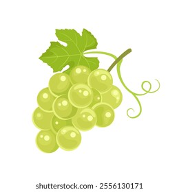 Bunch of green grape with leaf isolated on white background. Vector cartoon flat illustration. Fruit icon.