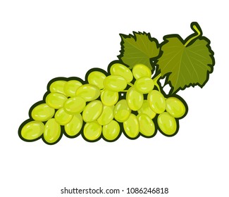 a bunch of green grapes