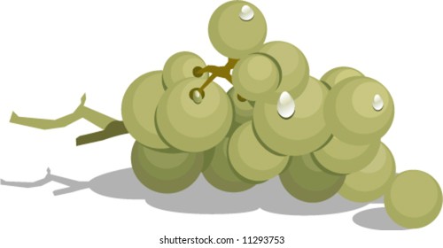 A bunch of green grapes.