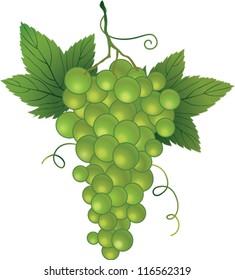 Bunch of green grapes