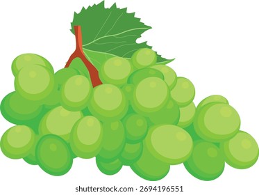 Un racimo de uvas verdes