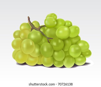 Bunch de uvas verdes