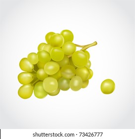Bunch of green grapes
