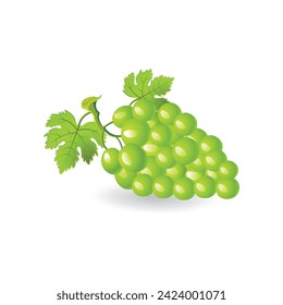 Bunch of green grapes isolated on white background as package design element