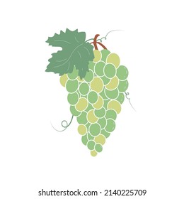 A bunch of green grapes with a leaf, on a white background.