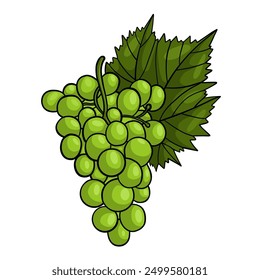 Manojo de uvas verdes con hoja. Ilustración vectorial