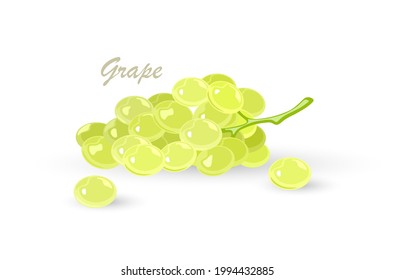 Bunch of green grapes with leaves. Fruit with sweet or sour flavour using for vegan, vegetarian kitchen, alcaline diet, winemaking. Vector cartoon illustration for packing, menu, advertisement.