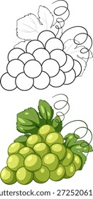 Un racimo de uvas verdes que se muestran tanto en el arte de línea negra como en los estilos de Vector de colores