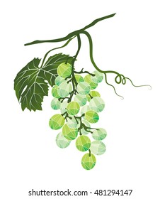 Bunch of green grapes stylized polygonal