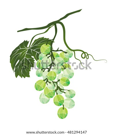 Bunch of green grapes stylized polygonal